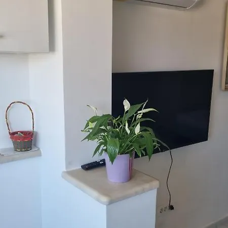 Flora Lapad アパート ドゥブロブニク